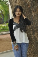 Ulka Gupta Gallery